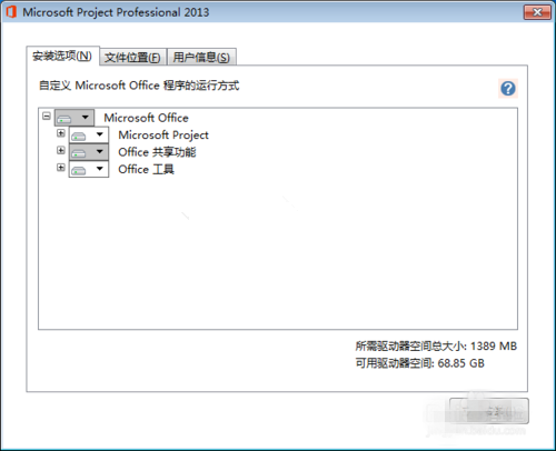 Microsoft Project(9)