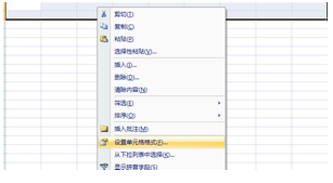 Excel 2007(9)