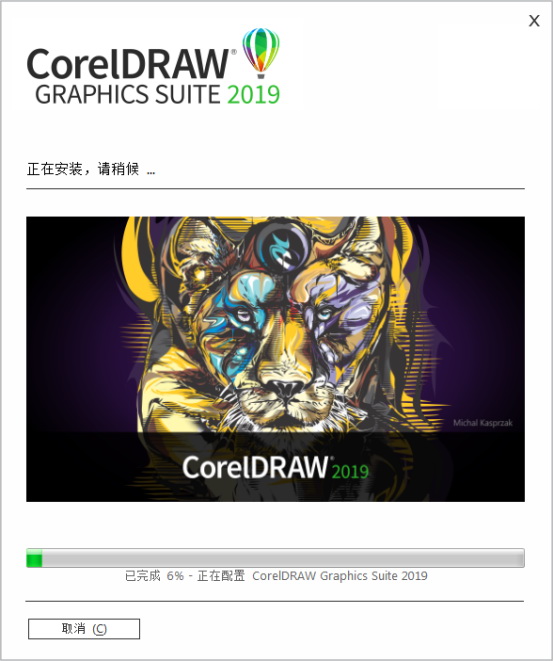 CorelDraw2019(13)