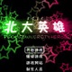 北大英雄2011 官方版