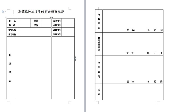 转正定级表 word标准版
