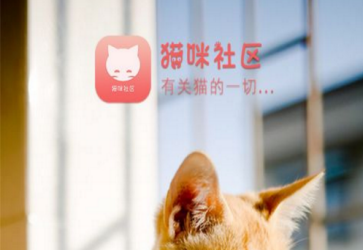 猫咪社区app