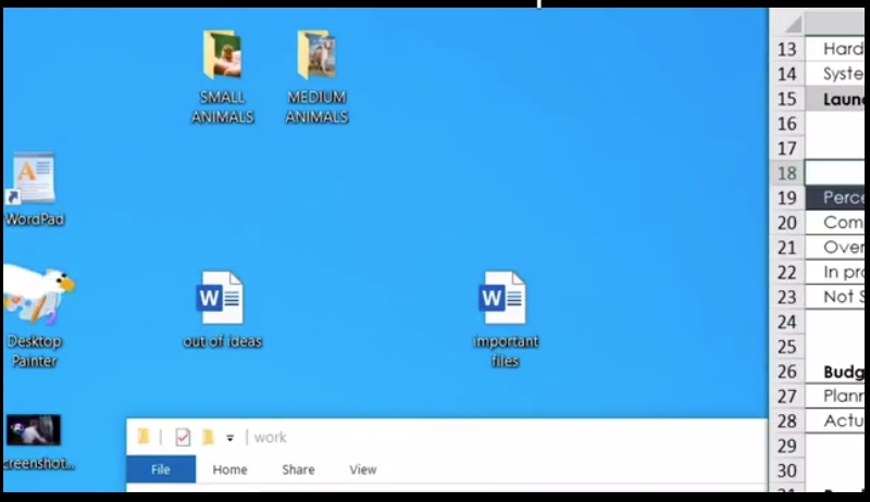 desktop goose