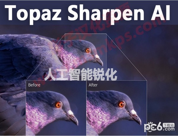 Topaz Sharpen AI(1)