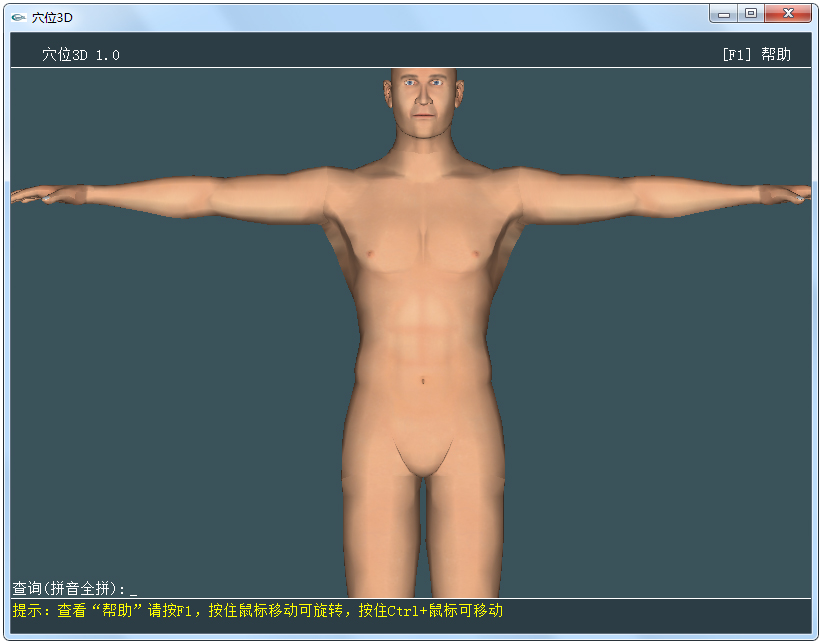 人体穴位3D模型