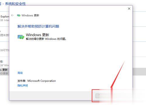 win10应用商店无法下载软件怎么回事？win10应用商店无法下载软件的解决方法(10)