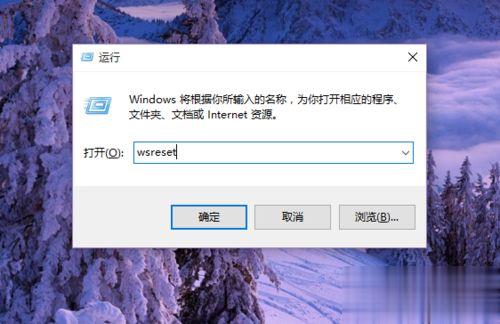 win10应用商店无法下载软件怎么回事？win10应用商店无法下载软件的解决方法(5)