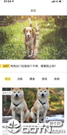 芯爱appv1.5.3 安卓版