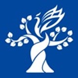 梧桐中文安卓最新版v2.58.015下载