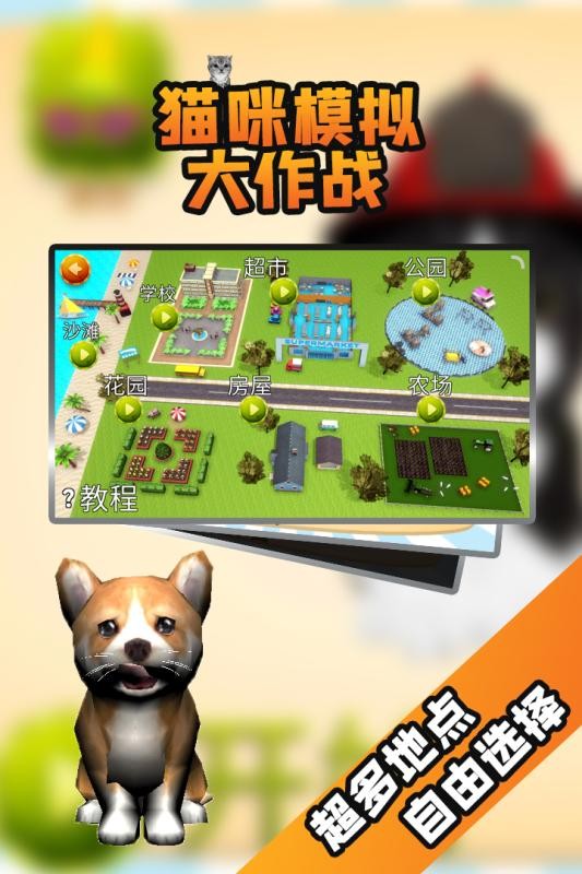 猫咪模拟大作战 安卓版v3.5.0