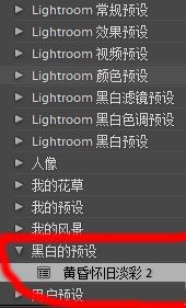 lr预设怎么导入？教你导入lr预设的详细操作方法(4)