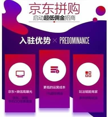 京东拼购app下载(5)