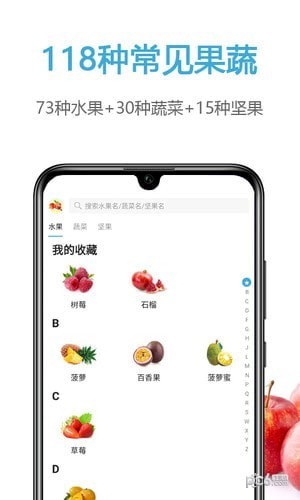 果识app下载