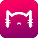 灵猫 安卓版v1.2.5