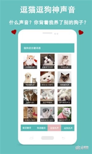 猫狗语音识别器下载(1)
