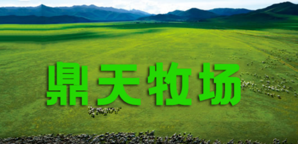 鼎天牧场 安卓版v1.0