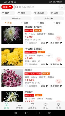 淘花缘app下载