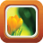 TweakNow PerfectFrame(照片拼接软件) v1.0.0.1官方版