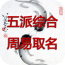 周易起名字八字取名 安卓版v11.49