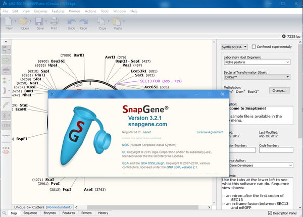 GSL Biotech SnapGene(分子生物学软件)v5.1.5.0 免费版