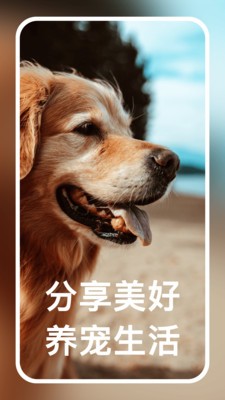 宠小帮app下载