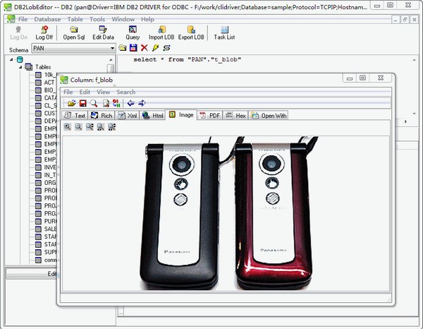 DB2LobEditor(db2数据库编辑工具) v2.8官方版