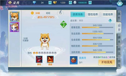 龙武 安卓版v1.20.1(6)