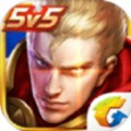 王者荣耀全图视野辅助 安卓版v1.0.0