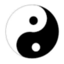 爱八字 安卓版v1.0.3