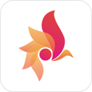 一等 安卓版v1.0.3