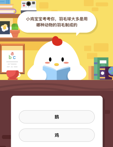 羽毛球大多是用哪种动物的羽毛制成的？