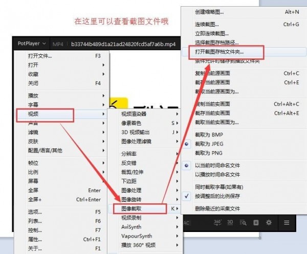 PotPlayer 64位下载 v1.7.21233中文版  (11)