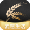 麦穗生活 安卓版v0.0.15