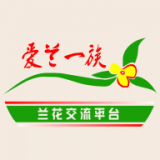 爱兰一族安卓最新版v1.0.2下载
