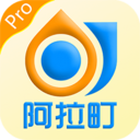 阿拉町Pro 安卓版v1.0.0