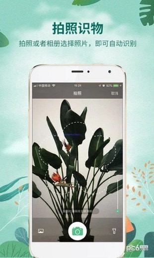 识物软件下载