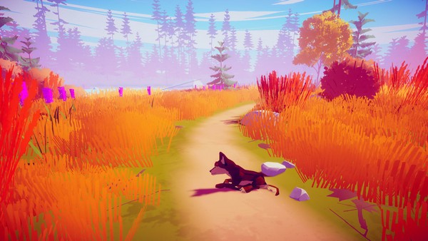 MY WOLF(我的狼野生宠物壁纸) v1.0免费版