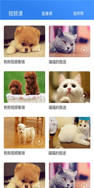 宠帮邦app下载(1)