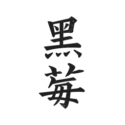 黑莓小说下载