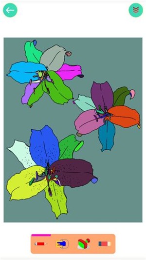 植物涂色世界 安卓版v1.0.0(1)