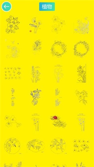 植物涂色世界 安卓版v1.0.0(2)