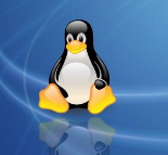 深度操作系统20betaLinux发行版
