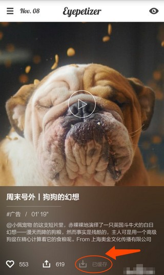 每日开眼app下载(4)