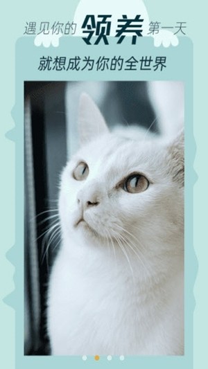 我要猫app下载