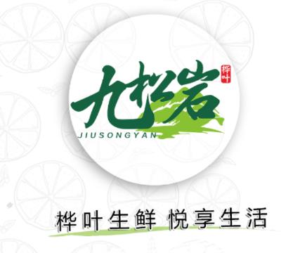 九松岩appappv5.0.2 官方版