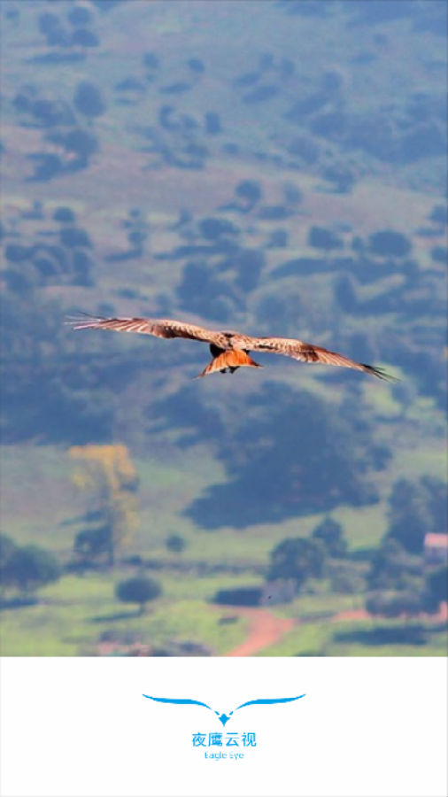 夜鹰云视v1.6.700 最新版