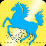 天码辅助app官网下载
