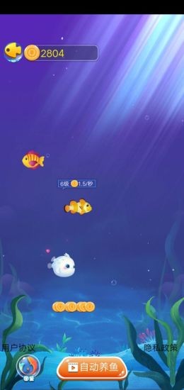 幸福鱼塘 安卓版v1.0.0