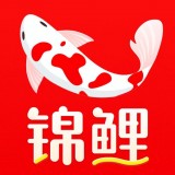 锦鲤特权 安卓版v1.1.2