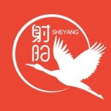 我的射阳安卓最新版v1.2下载